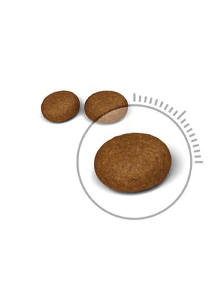 رويال كانين طعام جاف للقطط للعناية بالشعر والبشرة،00 4 جم400وجرام - Image 2