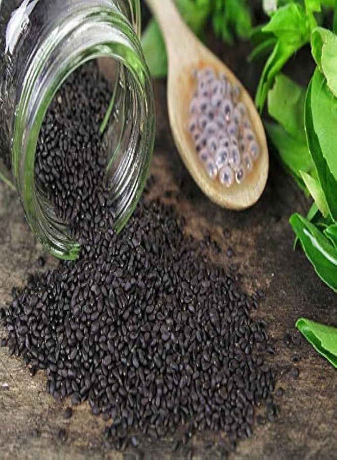 Nutzy Premium Seeds (Basil Seeds, 750g) - Image 3
