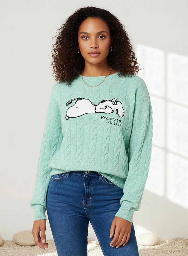 SP Characters Snoopy Embroidered Crew Neck Jumper