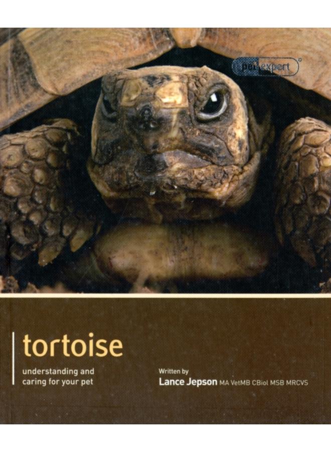 Tortoise - Pet Expert : Understanding and Caring for Your Pet