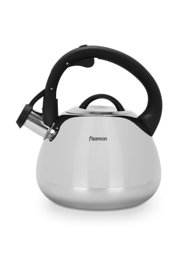 Fissman Whistling Tea Kettle 2.5L, Stainless Steel 18/10 INOX304 Kettle | Mirror-Polished Finish | Bakelite Handle | Induction Bottom for all Cooktops | Indoor and Outdoor Cookware, Dishwasher Safe  - Image 5