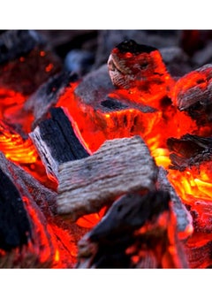 GO2CAMPS 5 Kg-BBQ Natural Hardwood Charcoal | Barbeque Natural Wooden Charcoal Medium Sizes  - Image 3