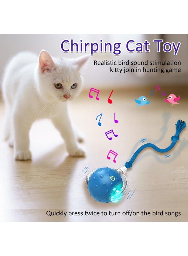 Interactive Cat Toys Ball for Indoor Cats Fast Rolling on Carpet, Chirping & Motion Activate Cat Toys (Blue) - Image 5