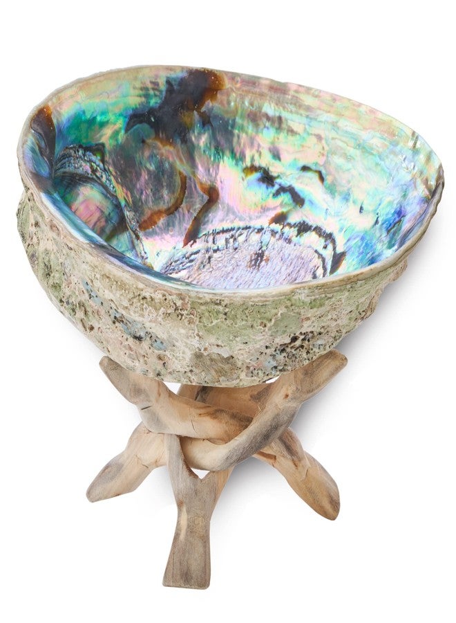 JL Local 6 Inch Abalone Shell + Wood Tripod Stand, Hand Made, Sustainably Grown, Smudging Kit & Sage Smudge Kit Shell & Stand - Image 2
