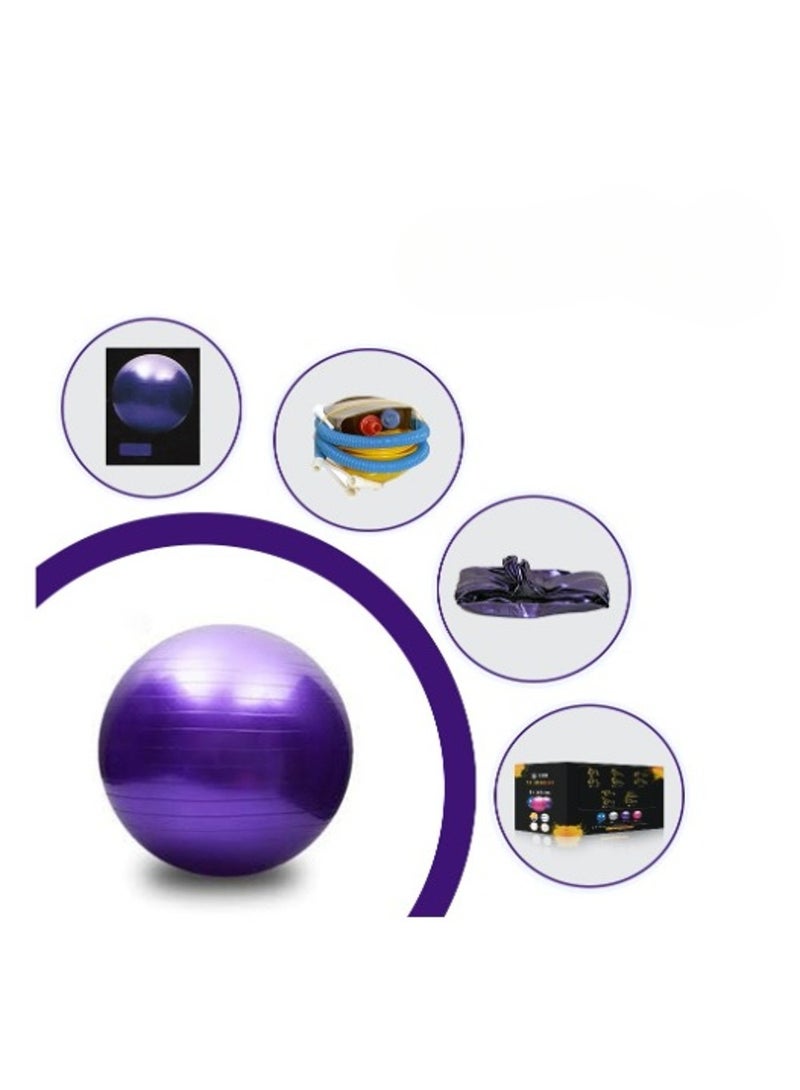H PRO Yoga Fitness Pilates Ball with Quick Pump, Anti-Burst and Slip Resistant Workout Balance for Home Gym |Purple