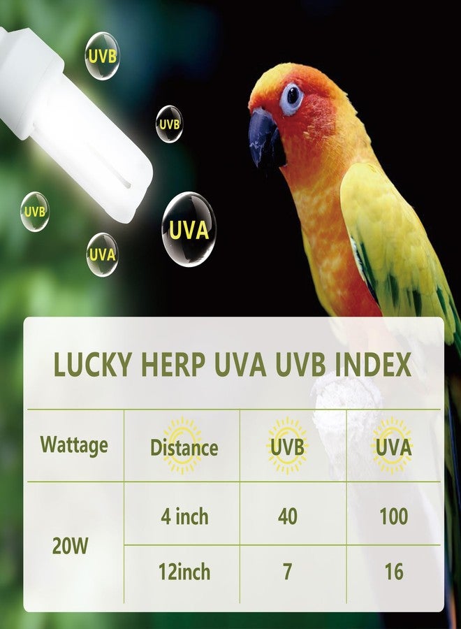 LUCKY HERP UVA UVB Light Bulb for Birds 2.4 UVB 20W Compact Flourescent Lamp for All Kinds Captive Birds - Image 4