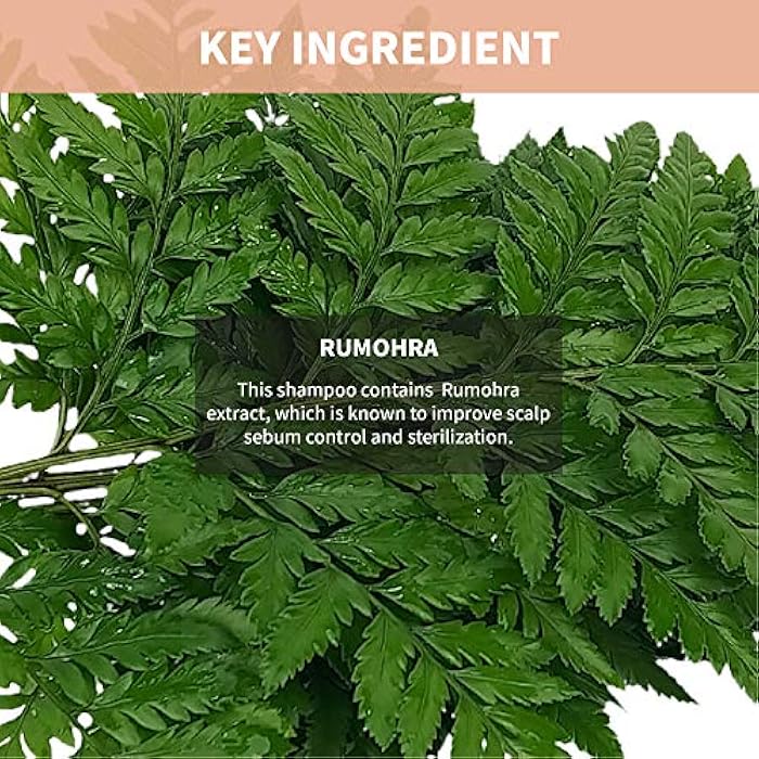 Clevos Natura Foresta Natural Organic Hair Shampoo 17.92 Fl Oz for Oily Itchy Scalp Type - Pleasant Rumohra Scent - Reduce Itchiness Dandruff Sulfate-free - Completely Natural - Vegan - Cruelty Free - Image 5