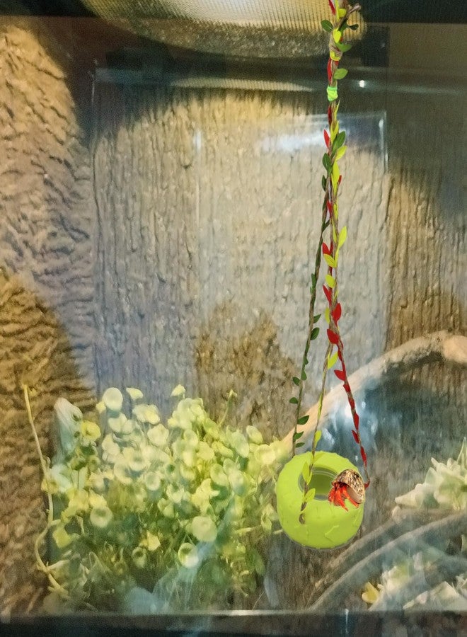 vomvomp Hermit Crab Swing with Feeder Dish Toy Hermit Crab Climbing Toy Lizard Tire Swing Toy with Braided Natural Twine Rope for Crabs Jumping Spider Spoods Hide - Image 4