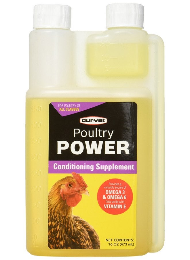 Durvet 698933 Poultry Power Conditioning Supplement 16 oz