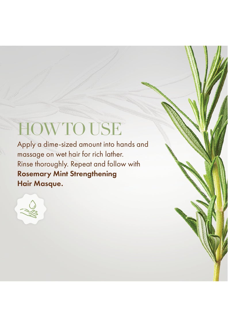 MIELLE ORGANICS CARE - Mielle Organics Rosemary Mint Strengthening Shampoo, Supports Hair Strength, Smooth Shampoo for Dry and Crinkled Hair, Weightless Hair Treatment 355ml - Image 1