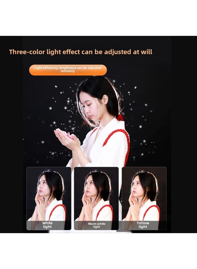 Hair Fill Light Live Room Anchor Background Atmosphere Lighting Light God Girl Spotlight Backlighting Back Wheel-Specifications:Three-color Adjustable Focus  + 2m Light Stand  - Image 4