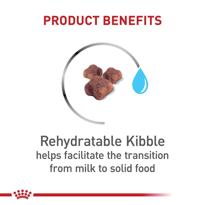 Royal Canin Feline Health Nutrition Mother & Babycat Queen Dry Cat Food, 6 lb Bag - Image 2