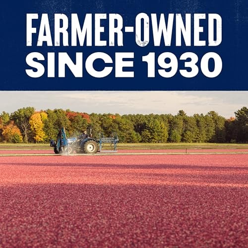 Ocean Spray® Craisins®, 50% Less Sugar Dried Cranberries, Dried Fruit, 5 Oz Pouches, 12 Count - Image 4