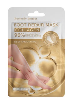 Collagen 2