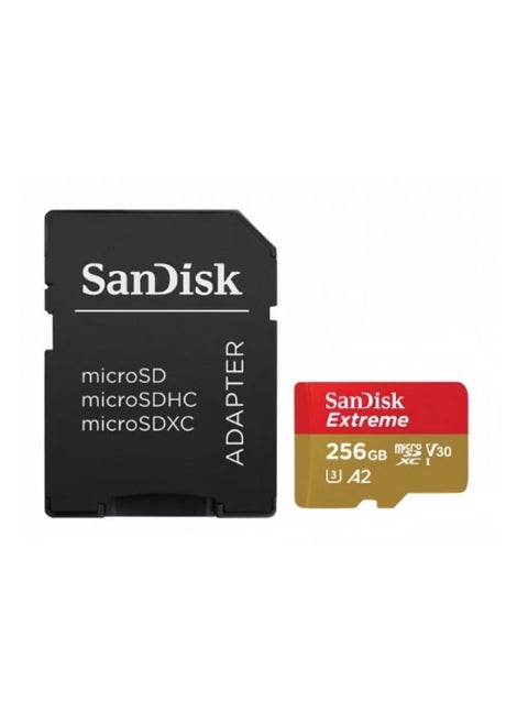 Sandisk 256g memory card