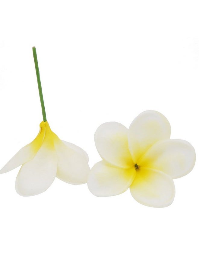 Winterworm Winterworm Bunch of 10 PU Real Touch Lifelike Artificial Plumeria Frangipani Flower Bouquets Wedding Home Party Decoration (Yellowish White)  - Image 4