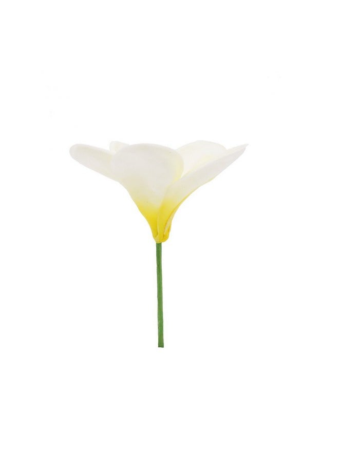 Winterworm Winterworm Bunch of 10 PU Real Touch Lifelike Artificial Plumeria Frangipani Flower Bouquets Wedding Home Party Decoration (Yellowish White)  - Image 5