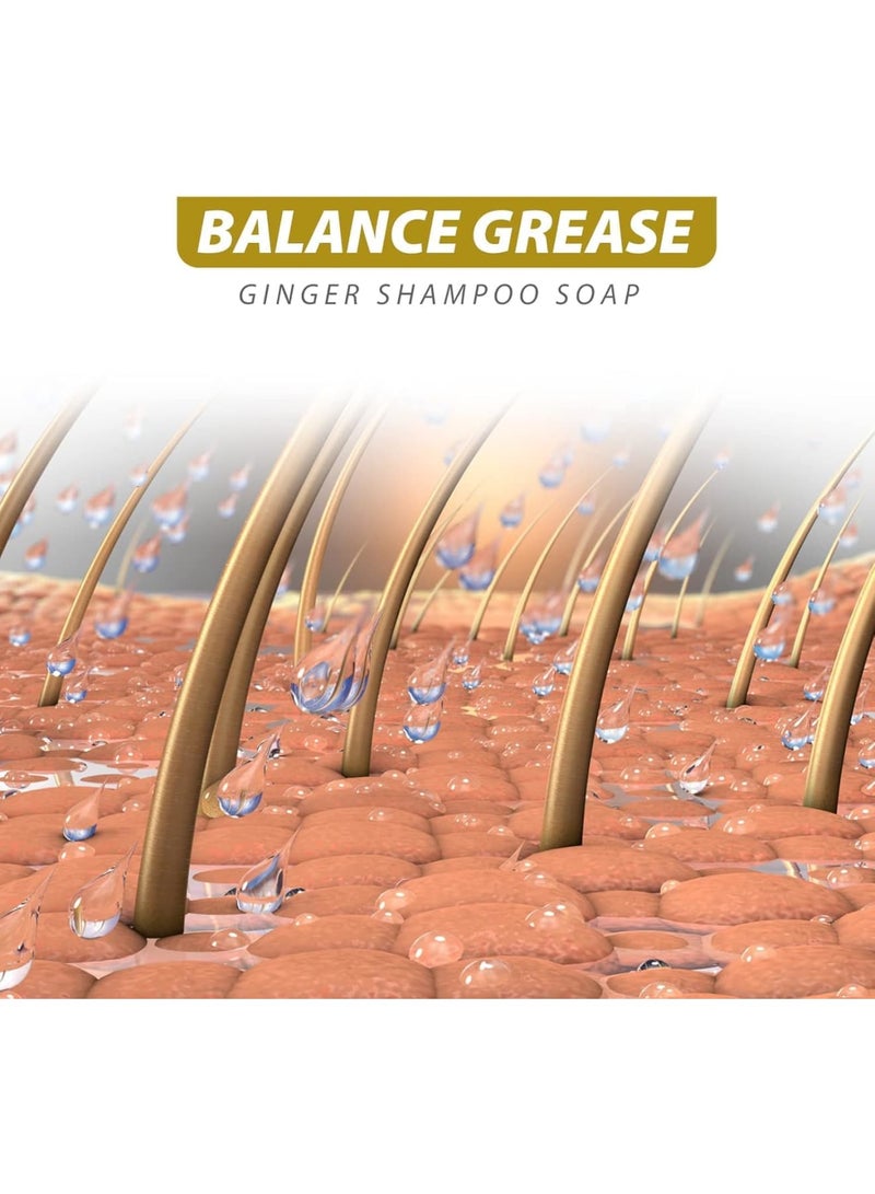 SOLARAE Ginger Hair Regrowth Shampoo Bar, 2 Pcs Natural Ginger Shampoo Bar, Anti Dandruff, Hair Loss Treatment, Promotes Hair Growth for All Hair Types - Image 5