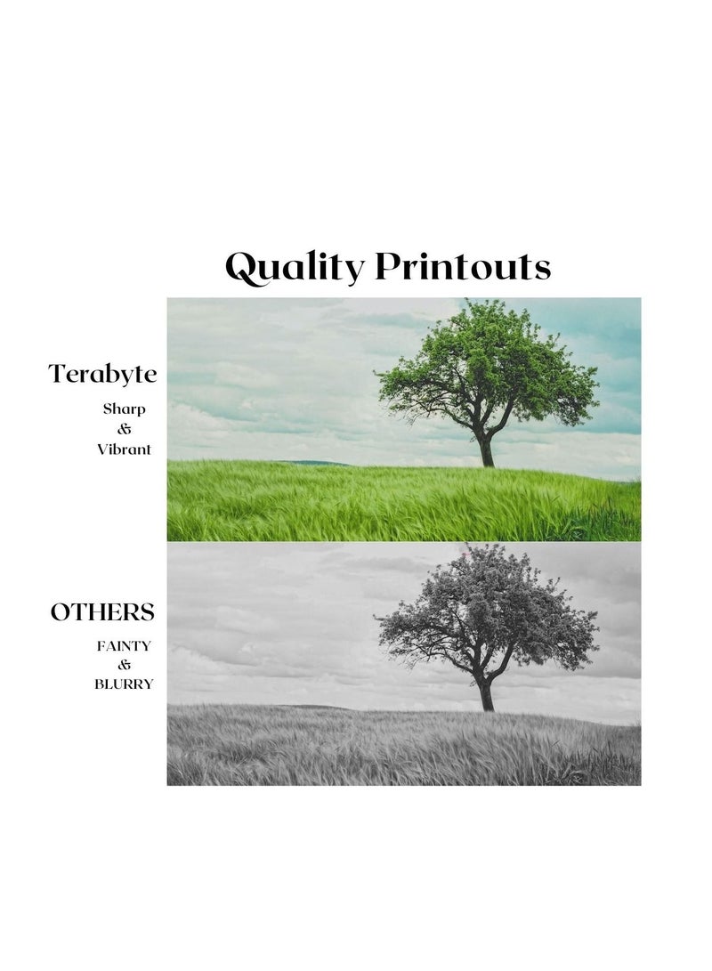 Terabyte TONER CARTRIDGE TN350 BLACK - Image 4