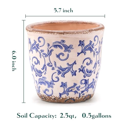 Teweiqi Vintage Ceramic Planter with Drainage Hole, Plastic Tray & Mesh, 5.5 Inch - Indoor/Outdoor Flower Pot, Blue Floral Rustic Farmhouse Design Plant pot for Home, Office & Garden Décor, Ideal Gift - Image 3