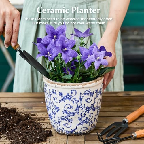 Teweiqi Vintage Ceramic Planter with Drainage Hole, Plastic Tray & Mesh, 5.5 Inch - Indoor/Outdoor Flower Pot, Blue Floral Rustic Farmhouse Design Plant pot for Home, Office & Garden Décor, Ideal Gift - Image 2