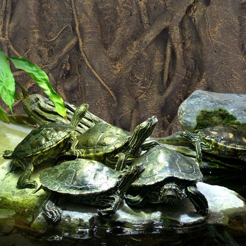 balacoo 3D Foam Rock Reptile Background Aquarium Background Rain Forest Tree Roots Fish Tank Decorations (Brown) - Image 3