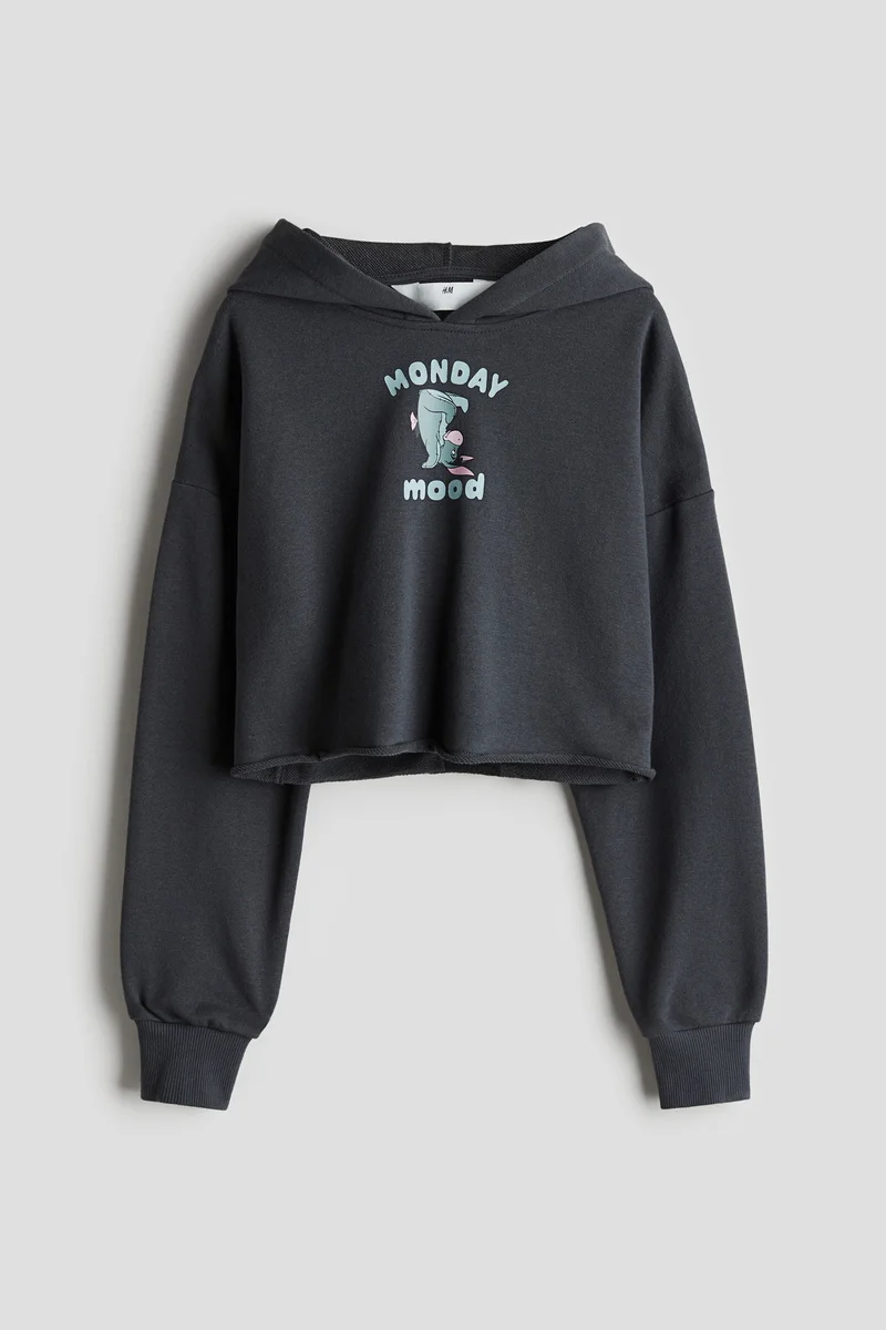 اتش اند ام Cropped hoodie