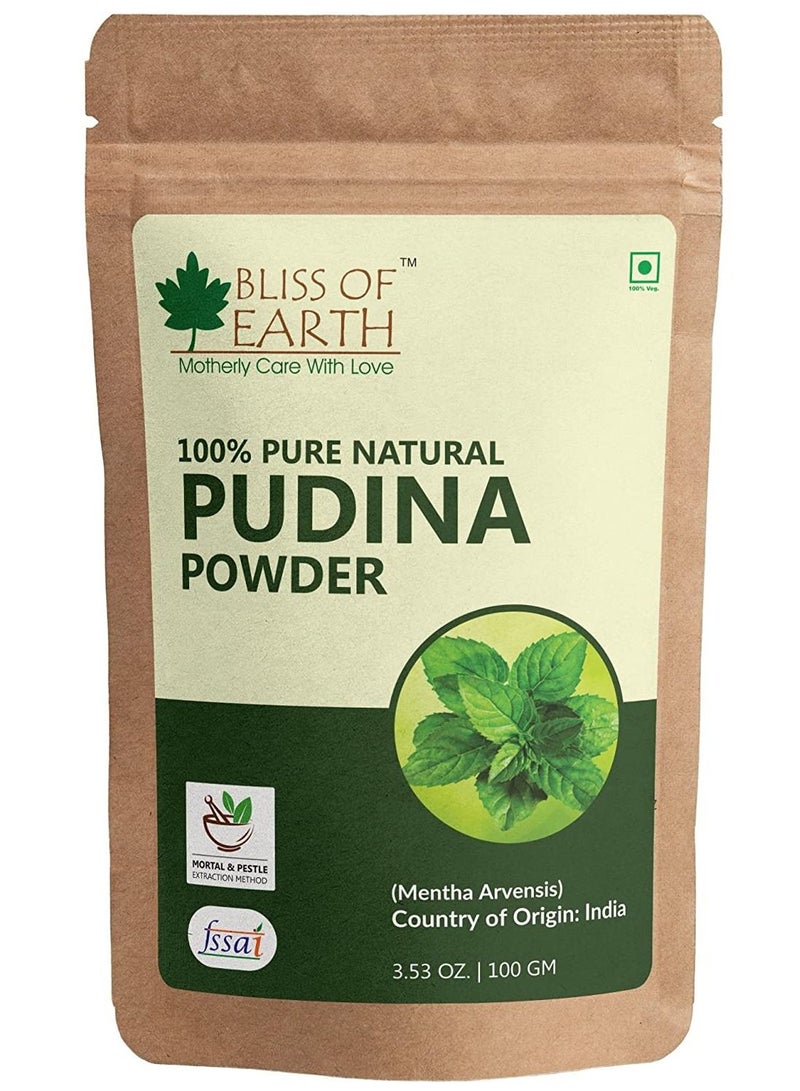 BLISS OF EARTH 100% Pure & Natual Pudina Powder (Mint Powder) 100GM Excellent Flavor Great for Use in Beverages South Indian & Chinese Dishes Mexican Salsa Chutney & Much More  - Image 1