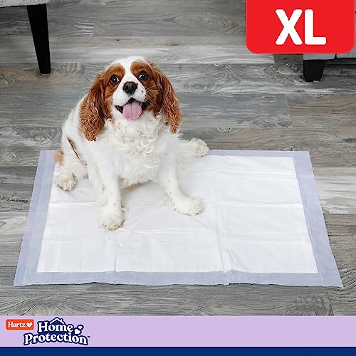 Hartz Home Protection Lavender Scented Dog Pads, XL 30 count, Super Absorbent & Won't Leak, Odor Eliminating - Image 5