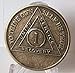 Bright Star Press 1 Year AA Antique Distressed Bronze Medallion Chip Serenity Prayer - Image 3