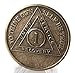 Bright Star Press 1 Year AA Antique Distressed Bronze Medallion Chip Serenity Prayer - Image 1