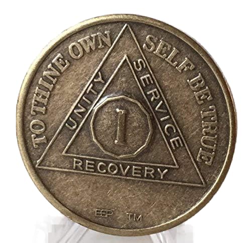 Bright Star Press 1 Year AA Antique Distressed Bronze Medallion Chip Serenity Prayer - Image 2