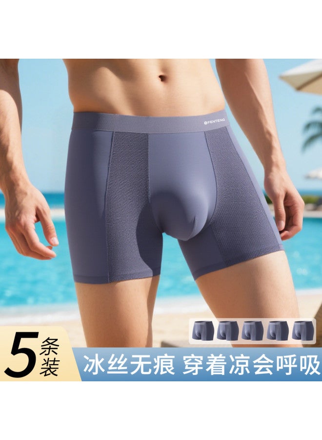 Fenton 5-pack Breathable & Comfortable Mesh Ice Silk Seamless Summer Thin Men's Underwear - Image 2