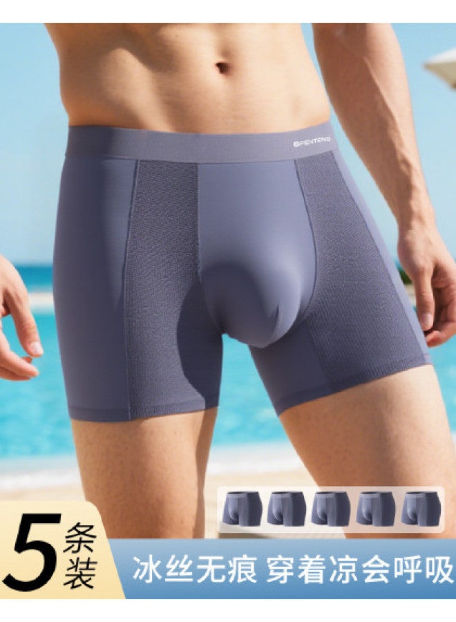 Fenton 5-pack Breathable & Comfortable Mesh Ice Silk Seamless Summer Thin Men's Underwear - Image 1