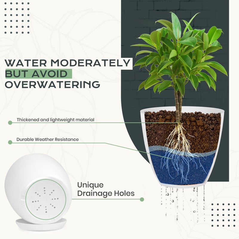 Utopia Home - Plant Pots Indoor with Drainage - 7/6.6/6/5.3/4.8 Inches Flower Pots for Indoor Planter - 10 Pack Plastic Planters - Ideal for Stocking Stuffers or Home Christmas Decorations - White - Image 3