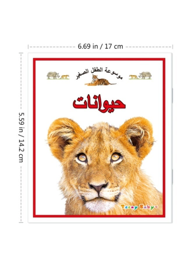 1 set of 10 Arabic children's encyclopedias Includes animals, plants and architecture all kinds of children's encyclopedias to enhance children's cognitive skills Gift - Image 4
