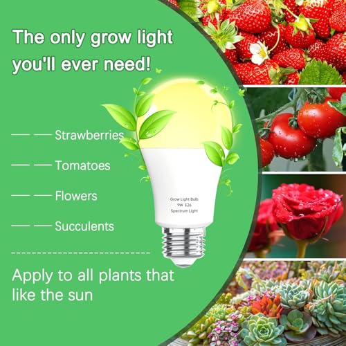 Wiyifada 3 Pack Full Spectrum Grow Light Bulbs,A19 Grow Lights for Indoor Plants,Dimmable E26 9W Grow Bulb Replace up to 100W,Plant Lights for Indoor Growing,Flowers,Greenhouse,Indore - Image 2