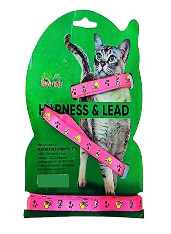 KittuPet طقم سرج ومقود للقطط من KittuPet، سرج قابل للتعديل مانع للهروب للقطط الصغيرة والكبيرة، محيط الرقبة 7.8 بوصة - 12.2 بوصة، محيط الصدر 10.2 بوصة - 16.9 بوصة - Image 2