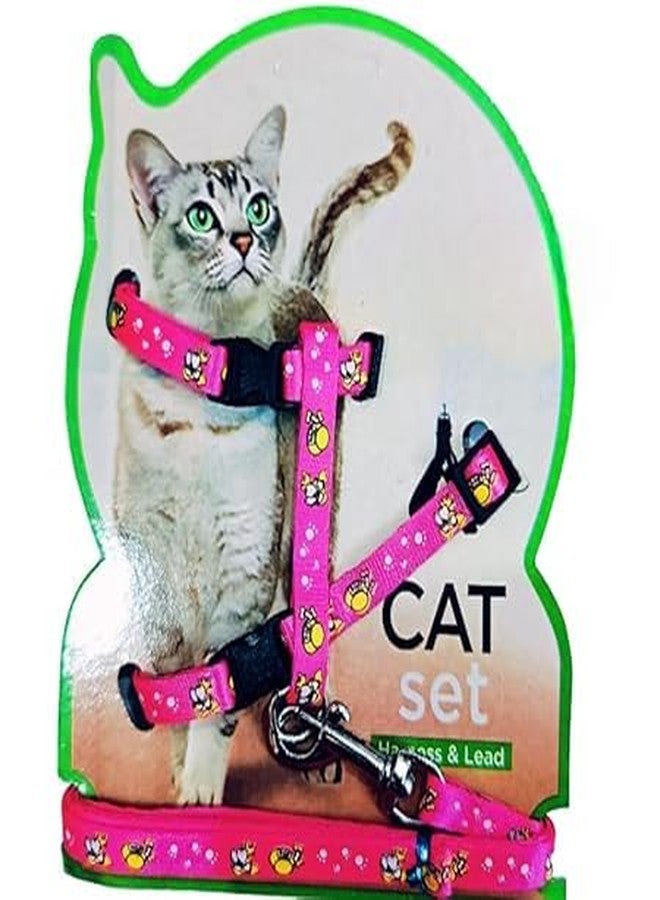 KittuPet طقم سرج ومقود للقطط من KittuPet، سرج قابل للتعديل مانع للهروب للقطط الصغيرة والكبيرة، محيط الرقبة 7.8 بوصة - 12.2 بوصة، محيط الصدر 10.2 بوصة - 16.9 بوصة - Image 1