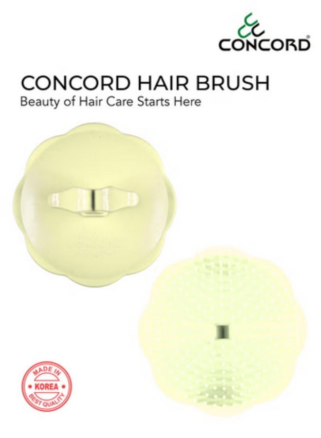 CONCORD - Branded Original Korea Round Hair Brush, Scalp Massage and Hair Care Brush for Daily Use, Smooth and Flexible, Made in KOREA, White Color -2 Pieces - Image 4