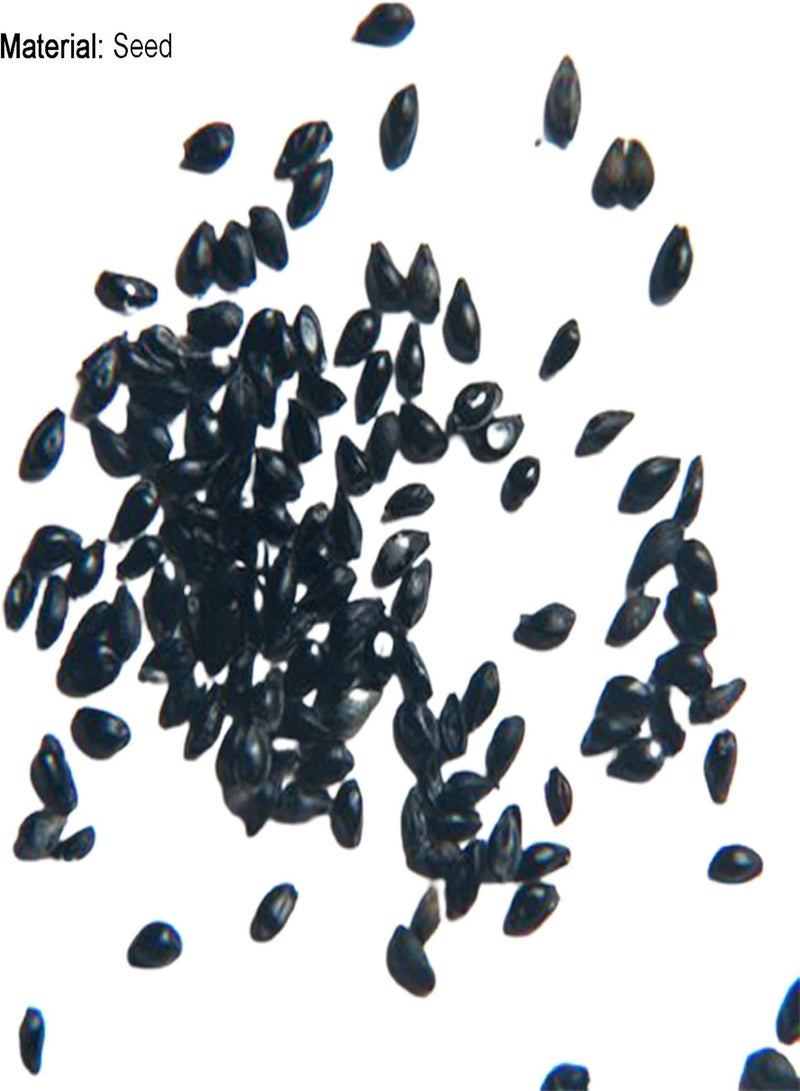 GGOOT 300Pcs/Bag Lobelia Cardinalis Seeds Perennial Non-GMO Portable Fresh Red Cardinals Flower Seeds for Garden - Lobelia?Chinensis Seeds - Image 5