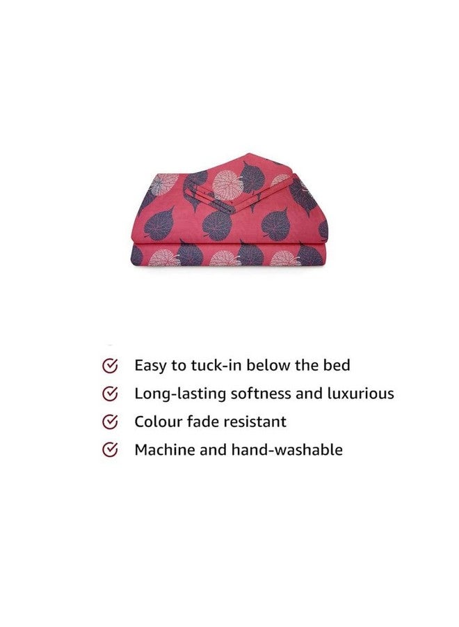 BSB HOME BSB HOME Premium Forever Modern Style Glace Cotton Floral Luxurious Beautiful Soft Comfort Designer Floral Pattern 1 Single Size Bed bedsheet and 1 Pillow Cover- Light Pink & Grey  - Image 4