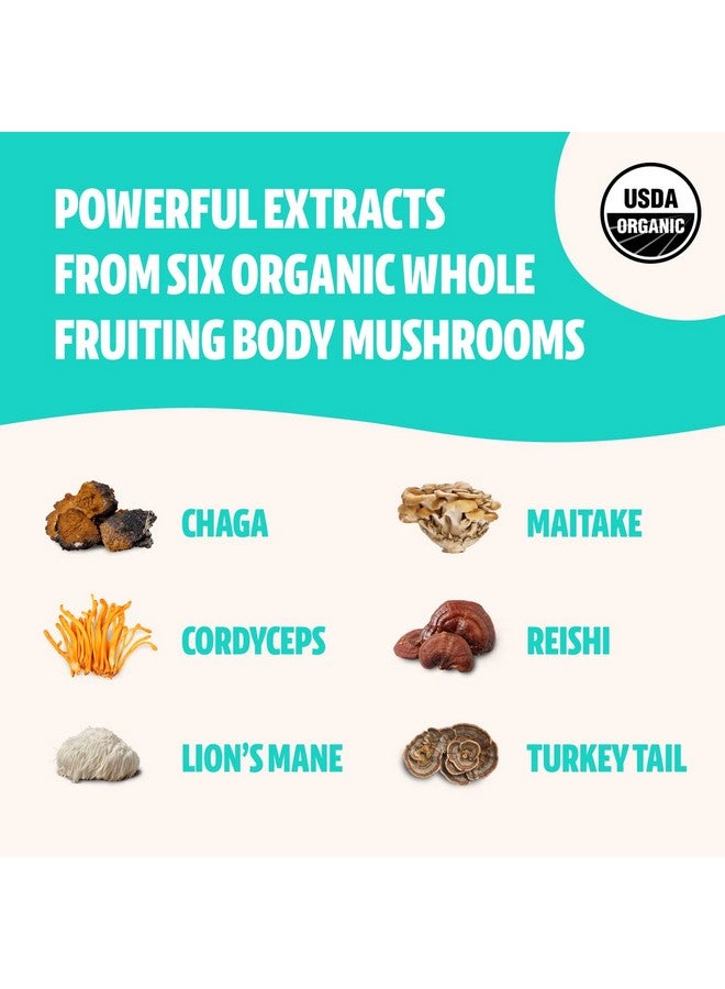 FreshCap Mushrooms مسحوق مستخلص الفطر النهائي من فريش كاب - عضوي معتمد من وزارة الزراعة الأمريكية - مزيج من ليوينغ مان، ريشى، كورديسيبس، تشاجا، ذيل الديك الرومي، مايتاكي 60 جرام - مكمل غذائي يمكن إضافته إلى القهوة - فواكه حقيقية بدون إضافات - Image 4