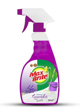 Disinfectant Floor Cleaner Spray Lavender Fragrance 750 ml - pzsku/Z587A05E56ACB67C3002AZ/45/_/1697009779/a7fe21b7-1078-41fe-8daa-d8699349b0db