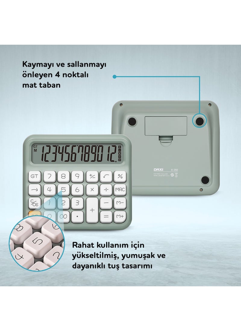 X-250 12 Digit Calculator - pzsku/Z587A4B7A4041EE303A6EZ/45/_/1740652569/cce76835-56a4-4275-af6e-53e9103d10db