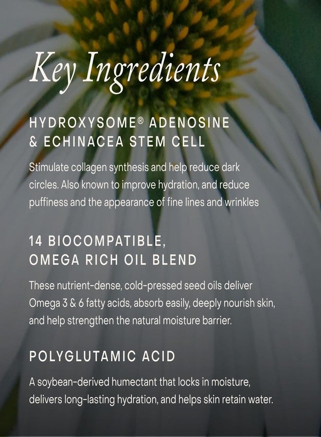 True Botanicals Pure Radiance Supreme Eye Cream – Firming, Brightening Anti-Aging Eye Cream with Hydroxysome Adenosine, Vitamin C & Polyglutamic Acid, 0.5 oz - Image 5