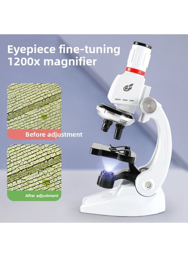 Loquat Children's High-power Microscope Scientific Experiment Optical Microbiology High-definition Home Primary School Junior High School Toy Gift-Specifications:White Upgrade + Shooting Bracket +36 Specim - Image 5