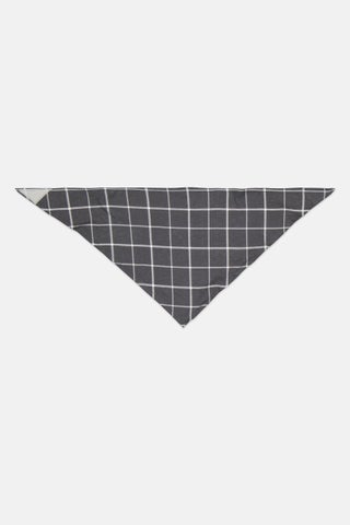 Checkered Pet Bandana, Grey - pzsku/Z587FFF57ED0CC9C8B1C6Z/45/1747663837/858fecd5-a110-4036-b1fa-8e9774c86c42
