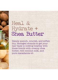 MAUI MOISTURE Maui Moisture Heal & Hydrate + Shea Butter Shampoo + Conditioner to Repair & Deeply Moisturize Tight Curly Hair with Coconut & Macademia Oils, Vegan, Silicone, Paraben & Sulfate-Free, 13 Fl Oz (Pack of 2)  - Image 2