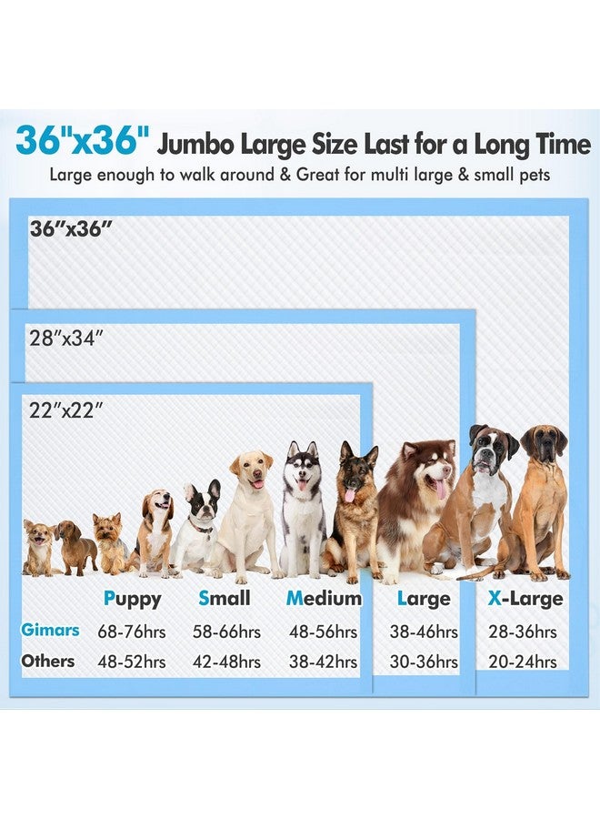 جيمارس وسادة تبول للكلاب سميكة وعالية الامتصاص من جيمارس 4XL 36 بوصة × 36 بوصة كبيرة جدًا - وسادات تبول كبيرة الحجم من البوليمر سريعة الجفاف ولا تسرب للكلاب والقطط والأرانب والحيوانات الأليفة 45 قطعة - Image 5